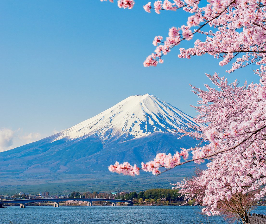 Mount Fuji Spring